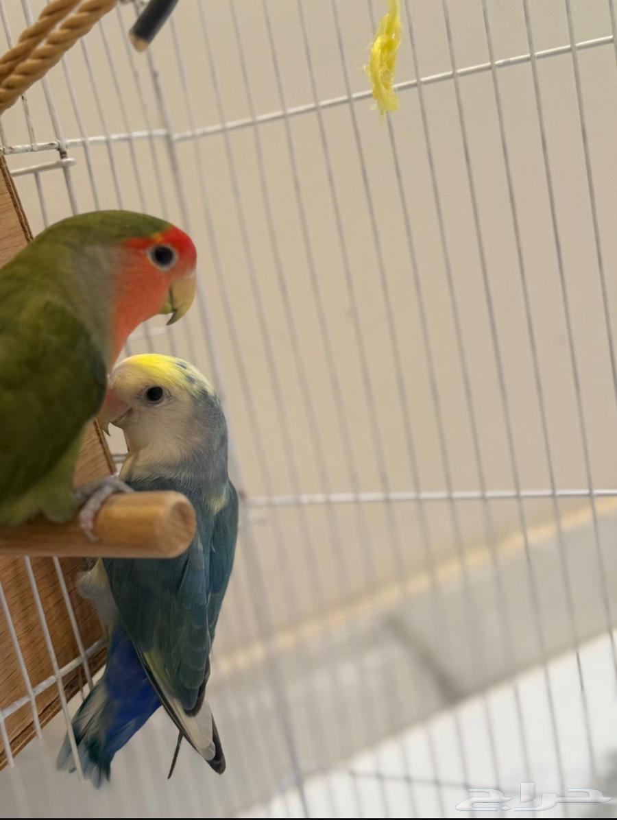 A good day of production, MashaAllah64457418914817111