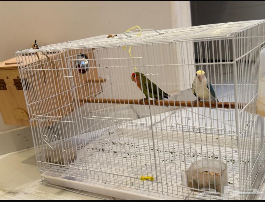 A good day of production, MashaAllah64457418914817114