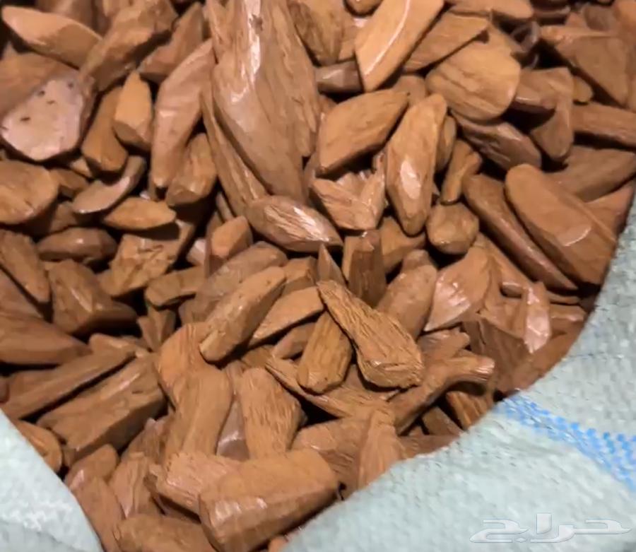 عود فاخر درجة أولى64458023638146114