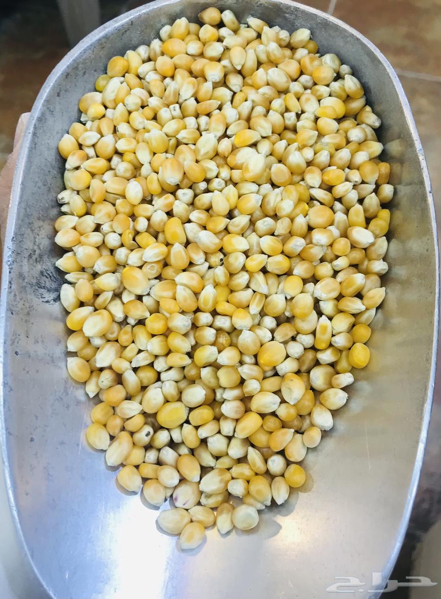 فشار برازيلي   نخب اول   نظيف وفاخر64463060961410110