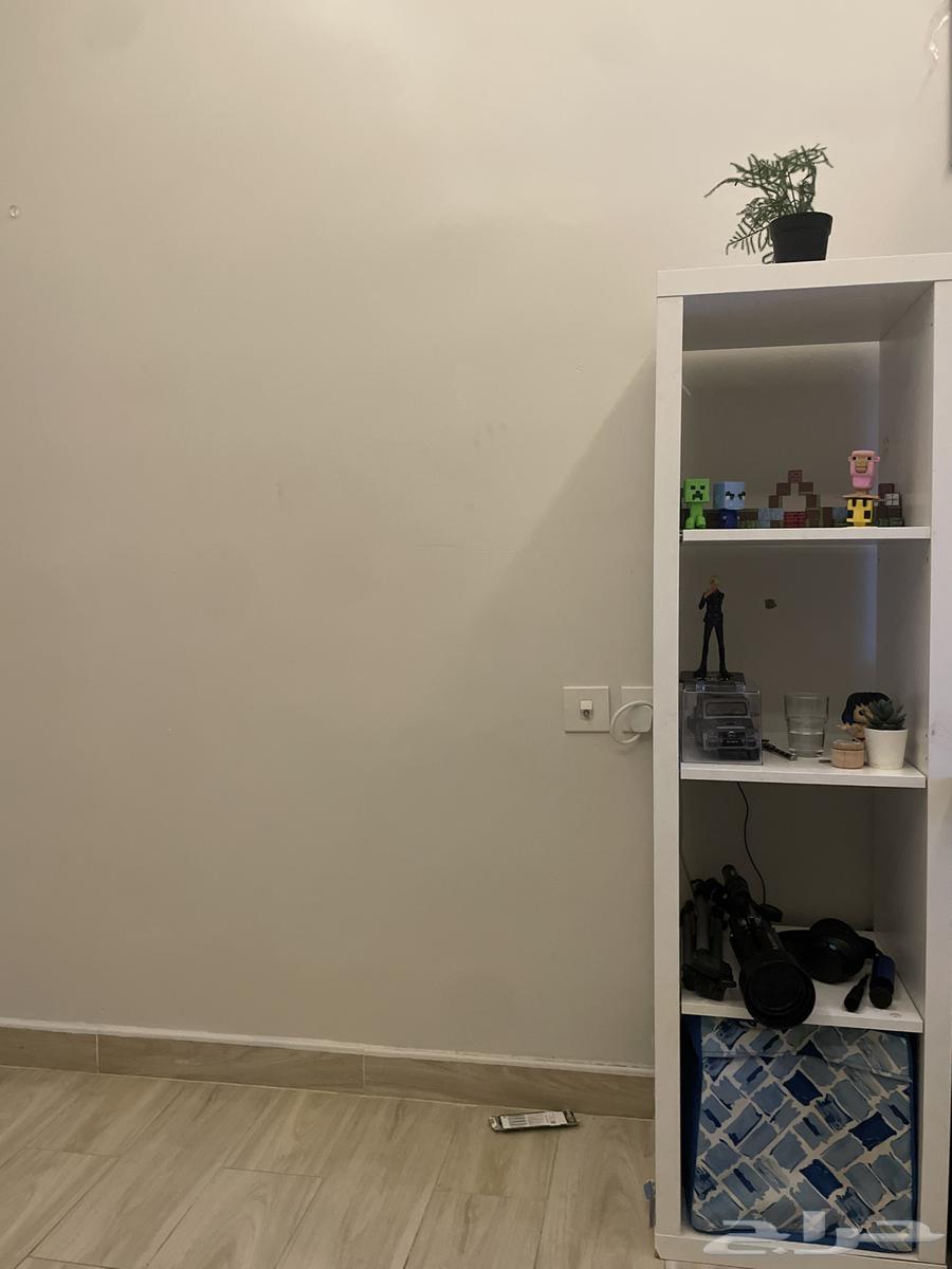 Shelves64463627779969110