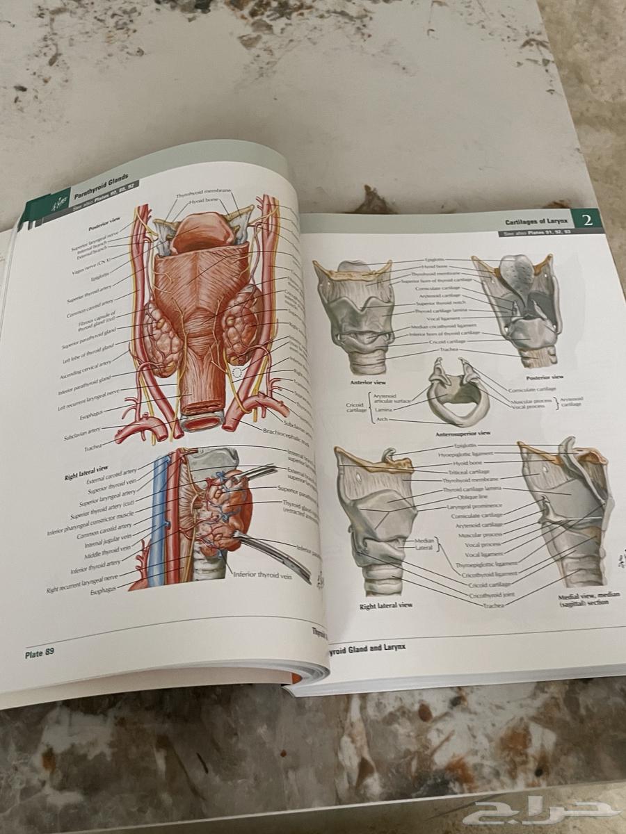 كتاب اطلس اناتومي لمادة التشريح لطلاب الطب64459573271042111