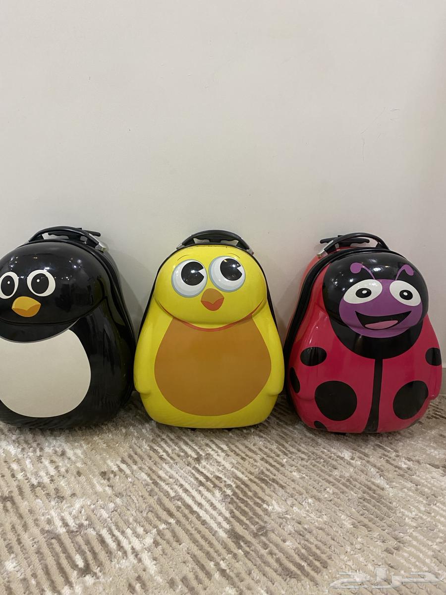 للبيع ثلاث شناط حقات اطفال64462103863427110