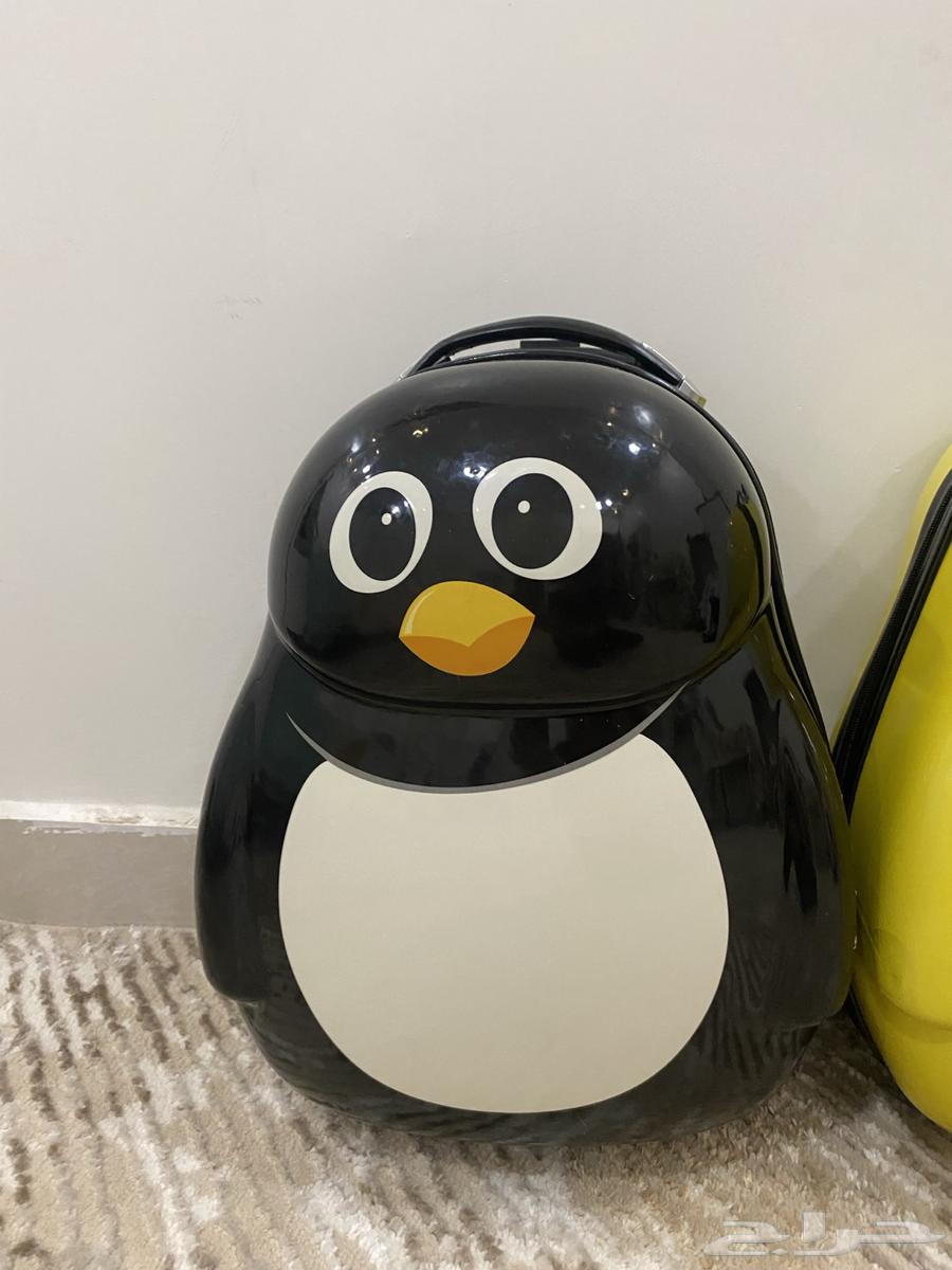 للبيع ثلاث شناط حقات اطفال64462103863427113