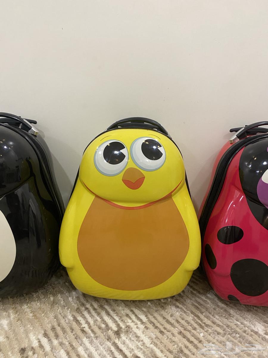 للبيع ثلاث شناط حقات اطفال64462103863427112