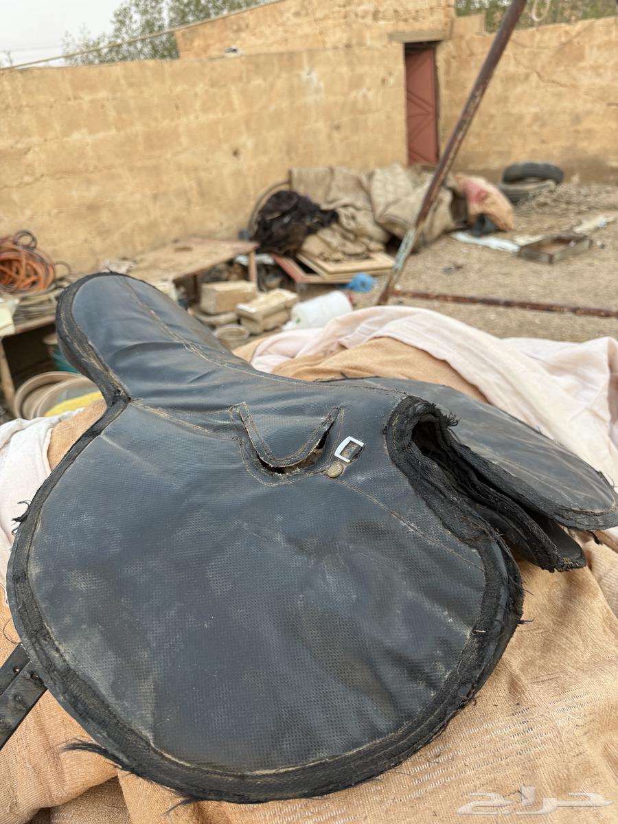 سرج جوكي للبيع64461843019009111