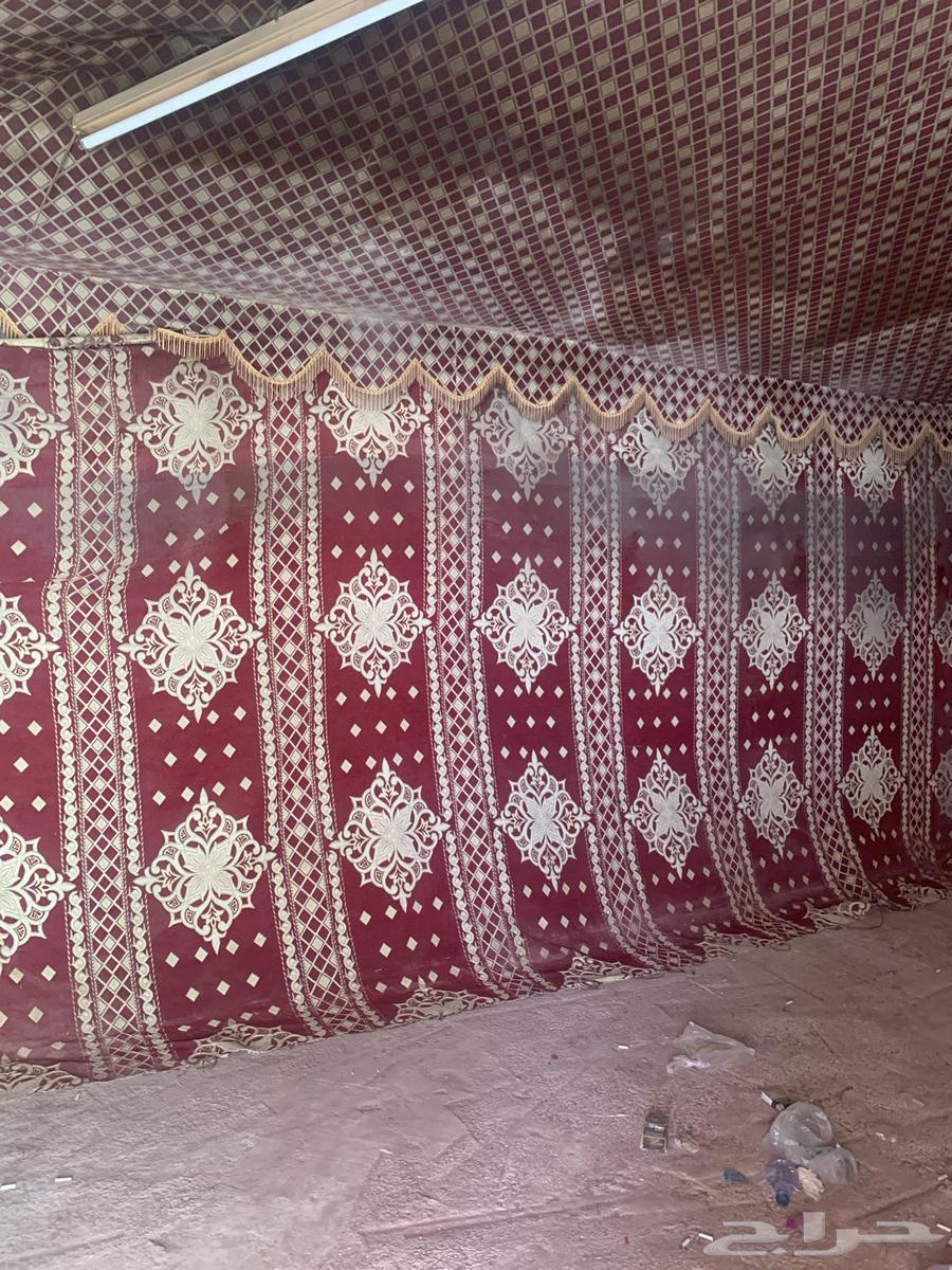 A tent, a bicycle, and scenery64460269914243114