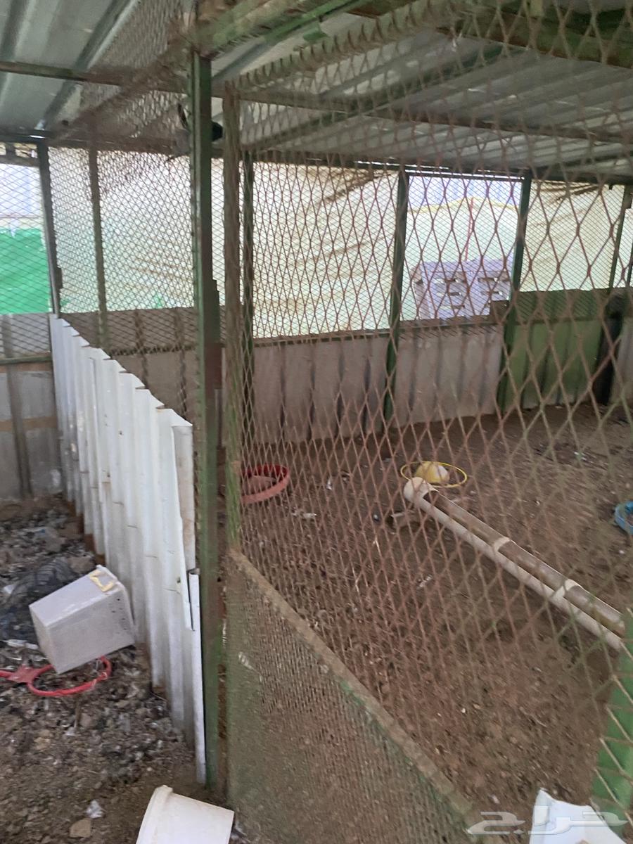 Container 10x464462212418817114