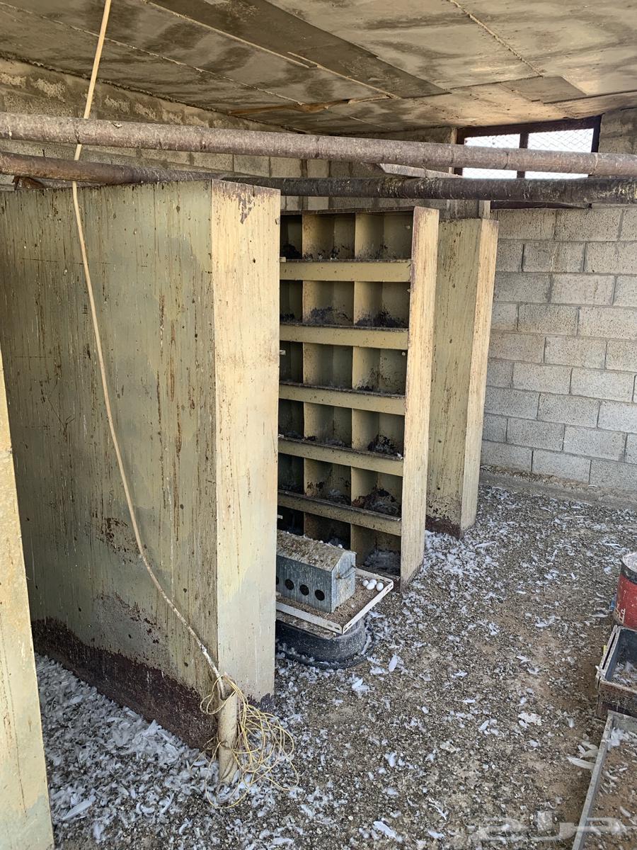 رفوف لحمام حديد64461145520385110