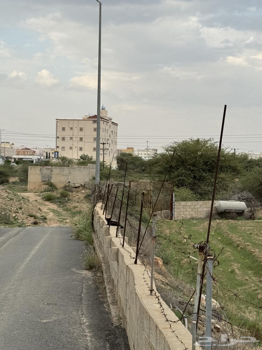 مزرعة للايجار بجميع مرافقها64142794049666112