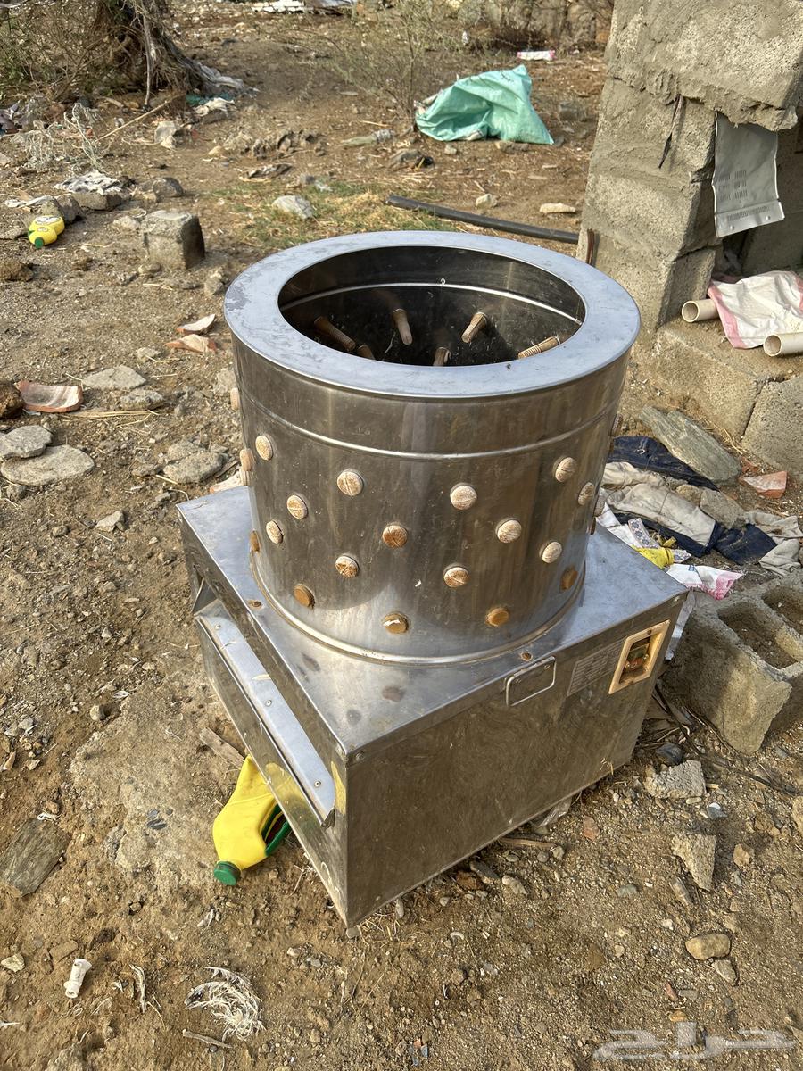 منافيه. طيور تشيل. 10 دجاج شبه. جديده. على الشرط. استخدام. ش64458408318723110