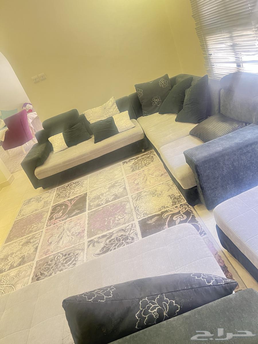 Sofa and carpet64459065172483113