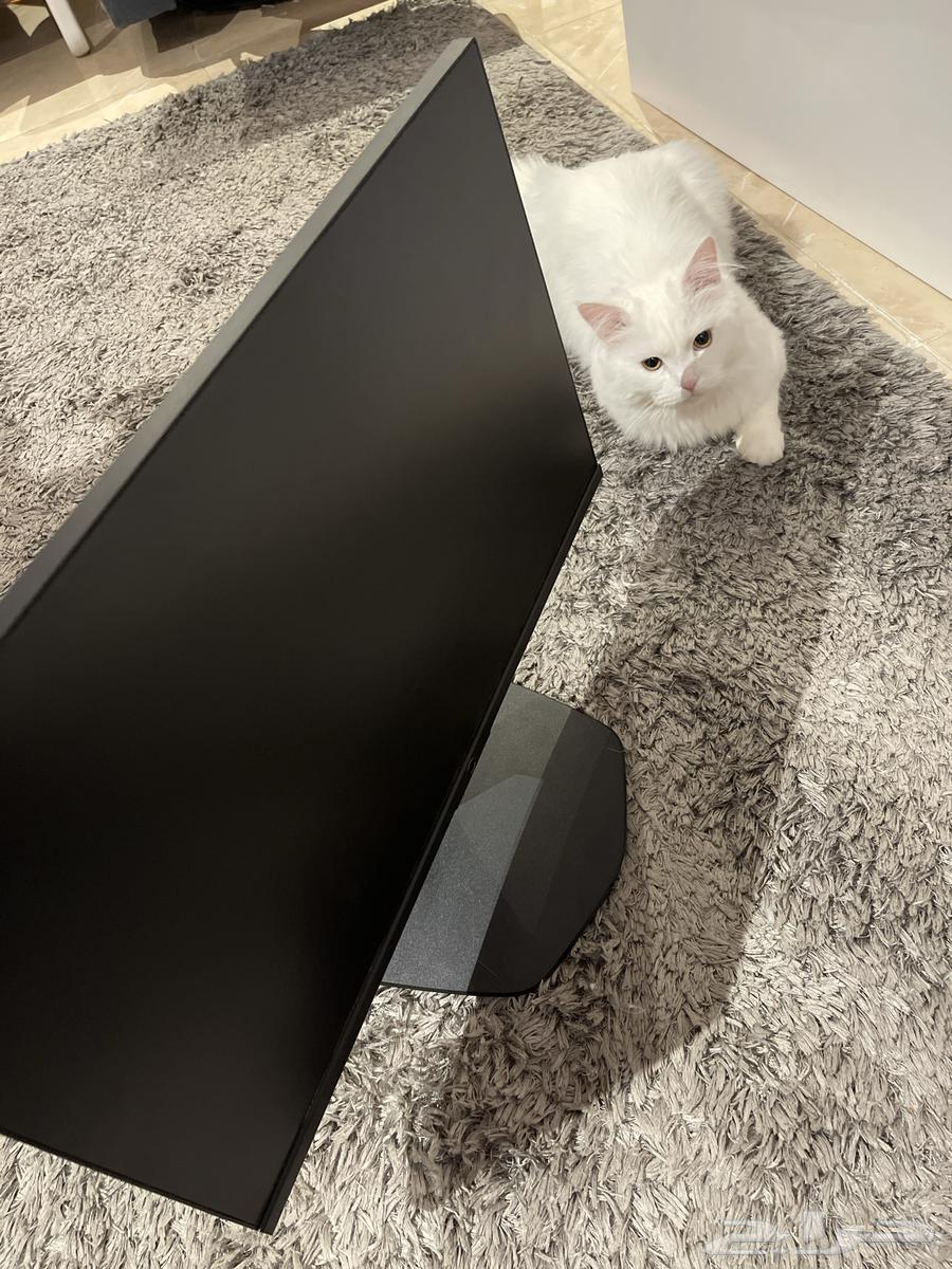 شاشة pc 22 بوصه64463972556929112