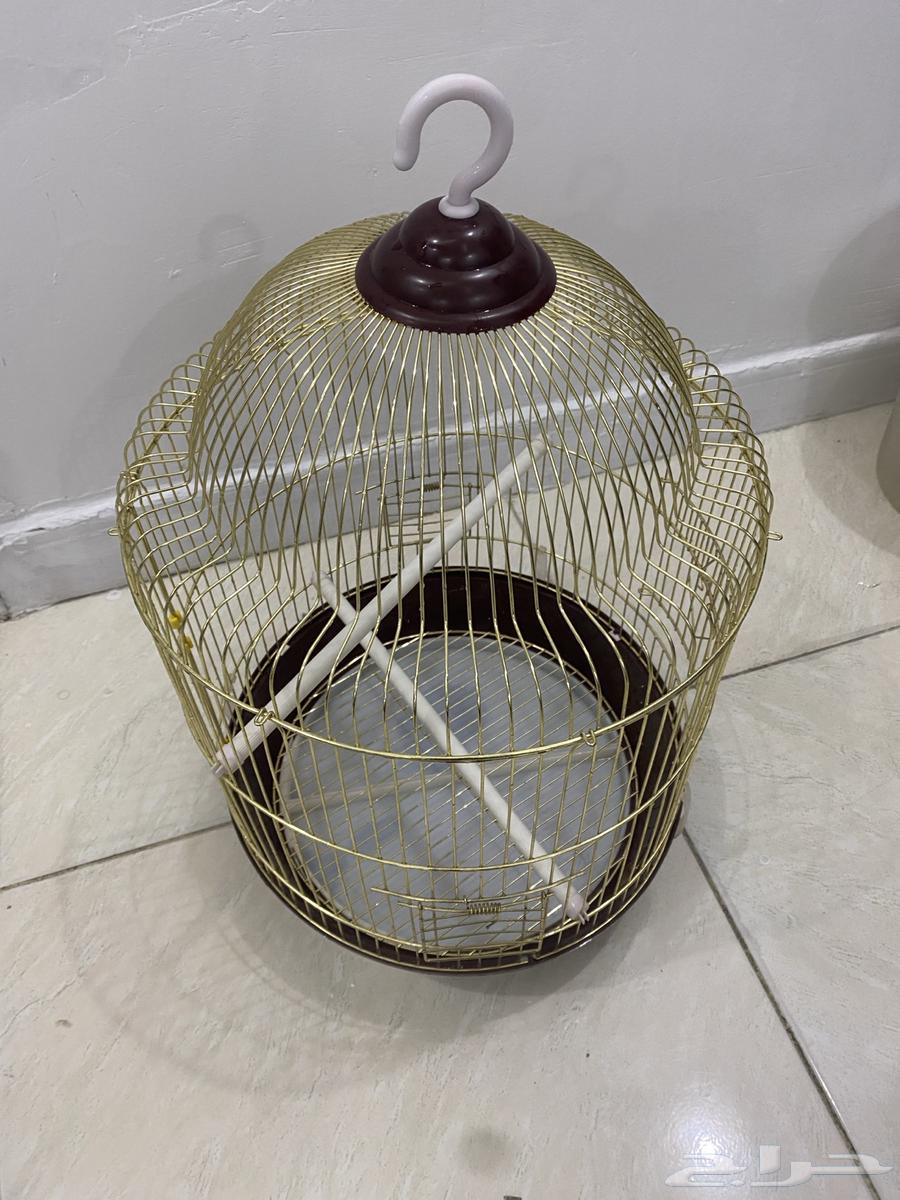 كروان كوكتيل للبيع64462665252097113