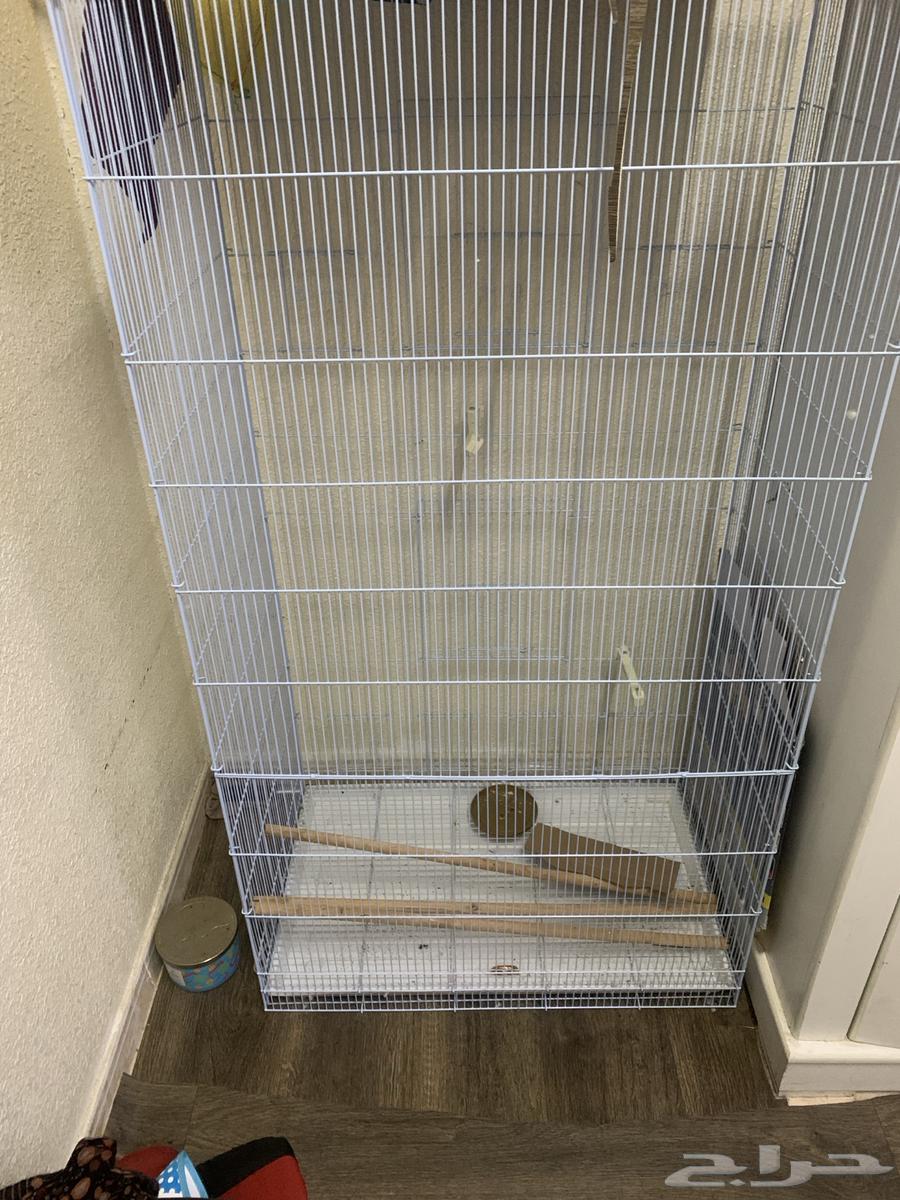 New tent used for one month height 150 width 8064462376355329110