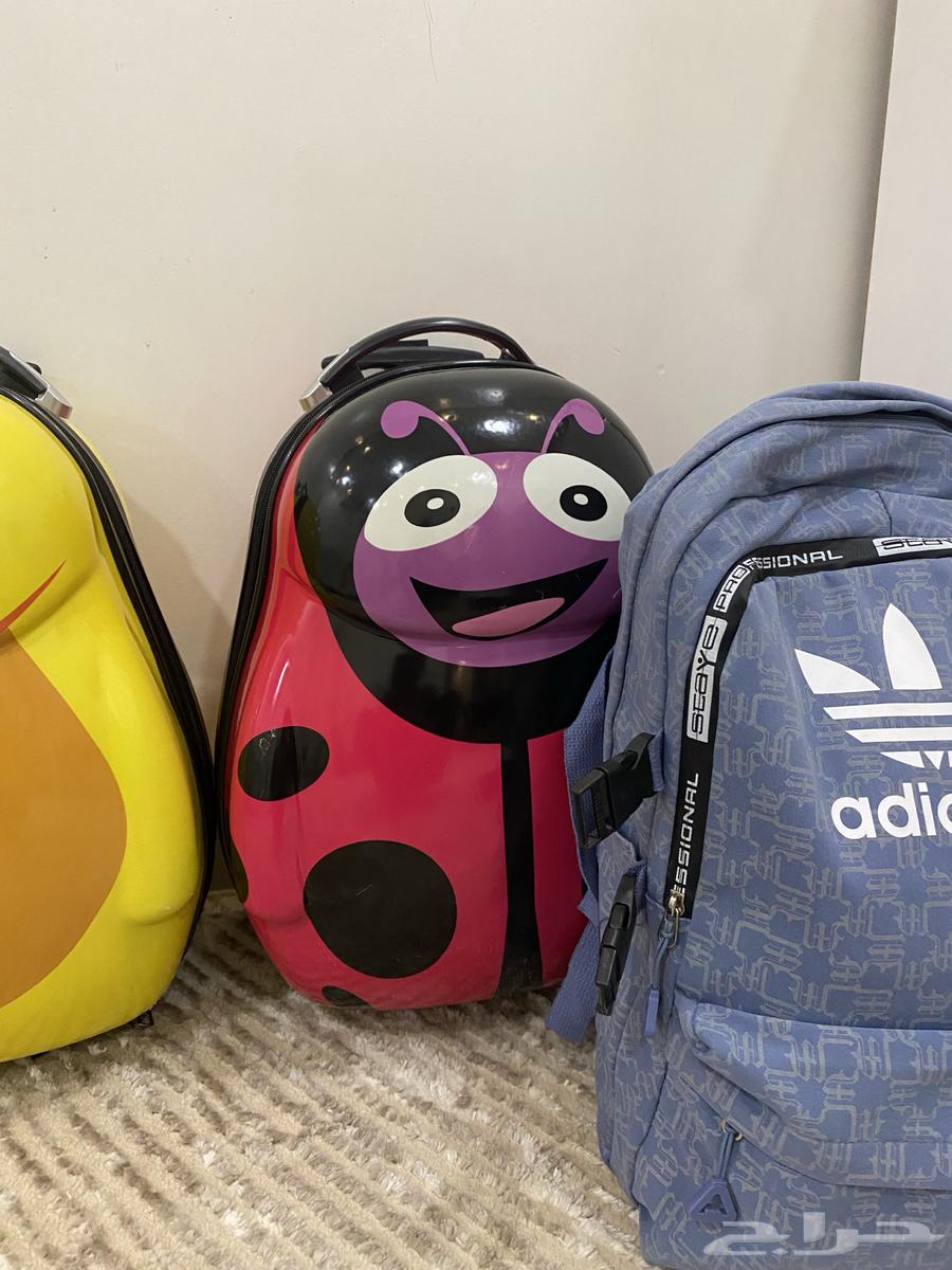 للبيع ثلاث شناط حقات اطفال64462103863427114