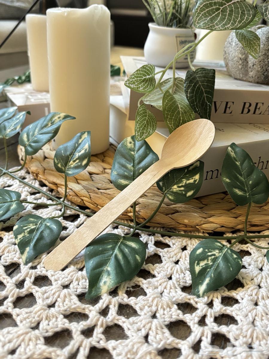 Matcha Box with Tools 13564462266963458114