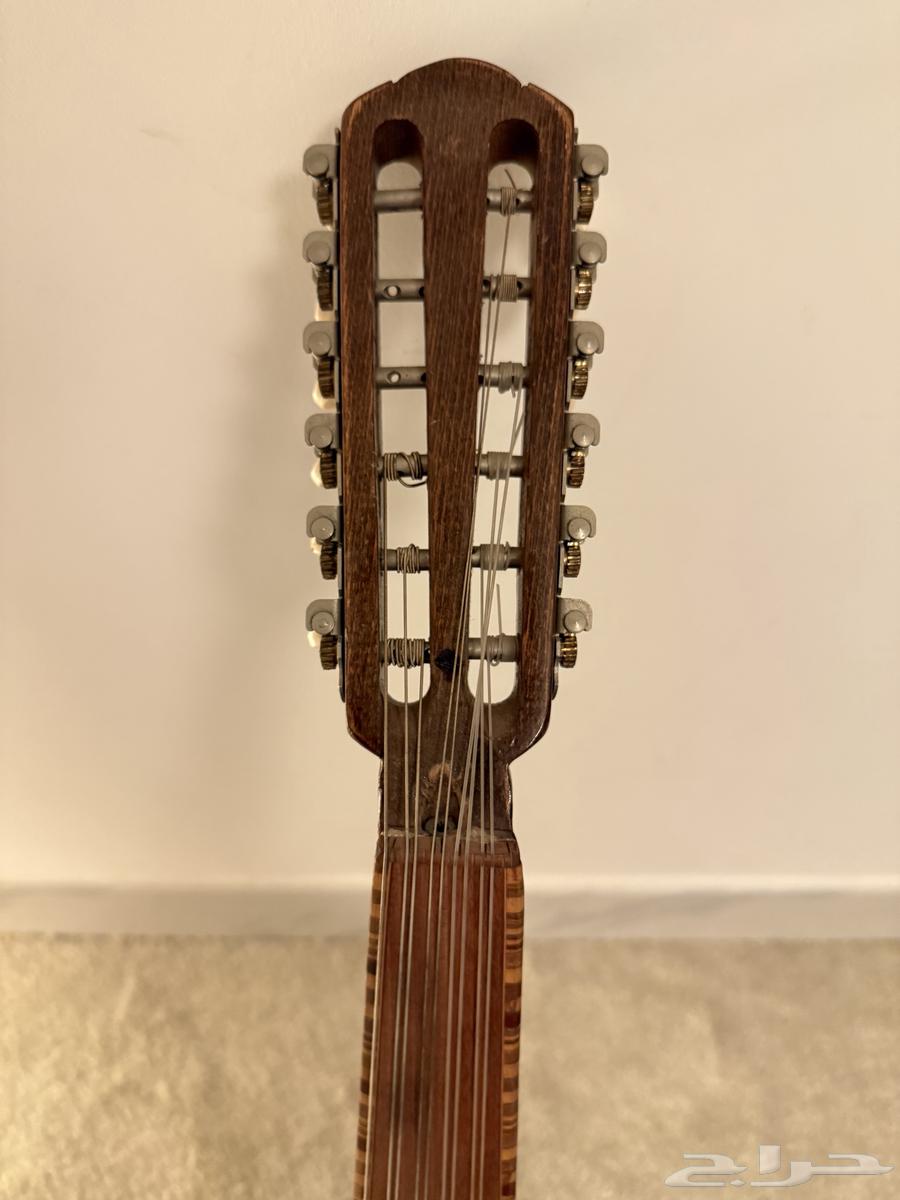 عود زرياب شبه جديد   شنطة جلد وريش64464111305219111