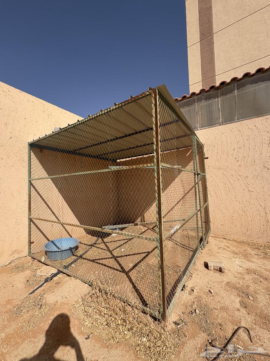 Shebek64460489609985111