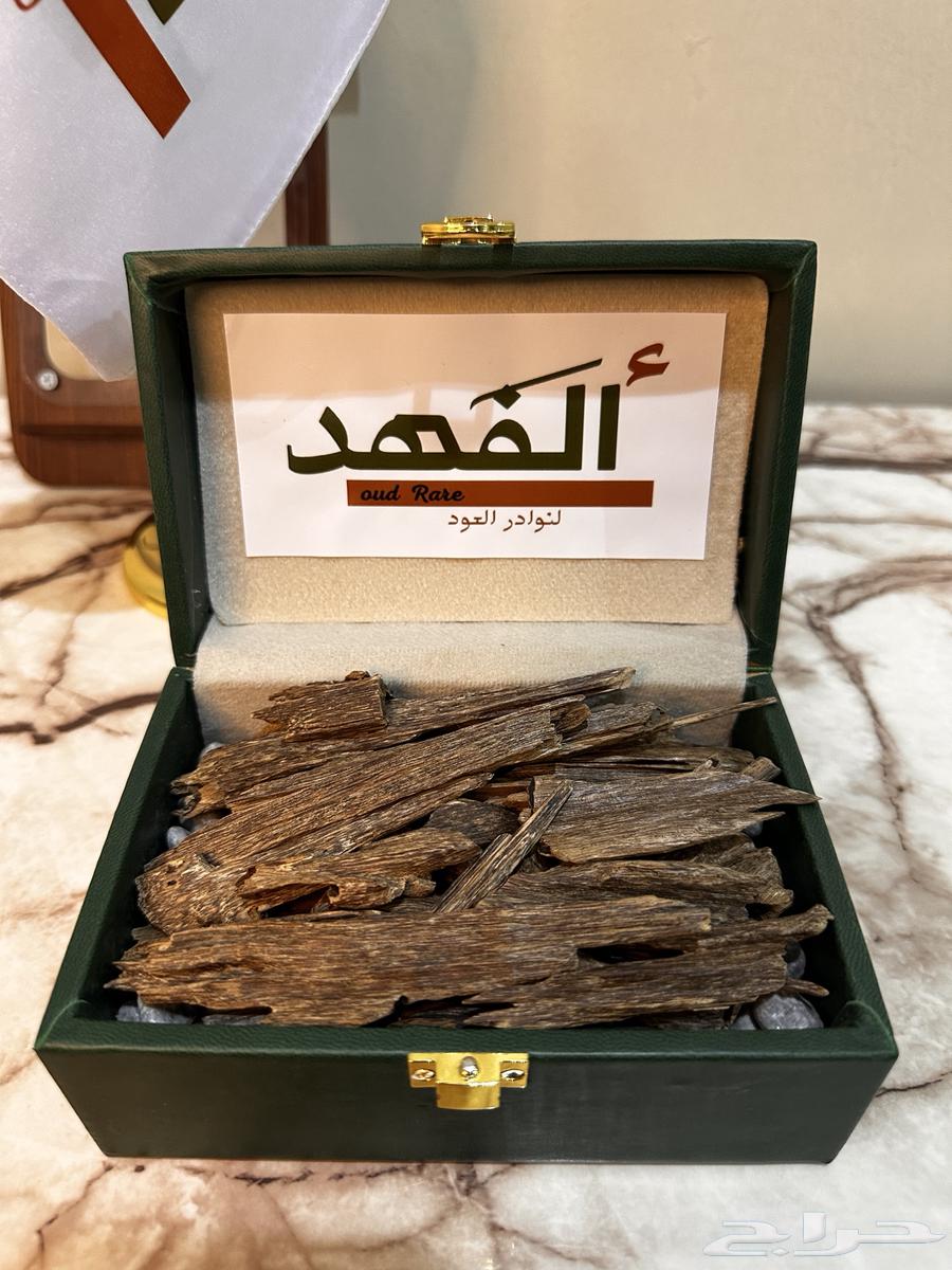 عود بنقالي دبل سوبر64458258853633111