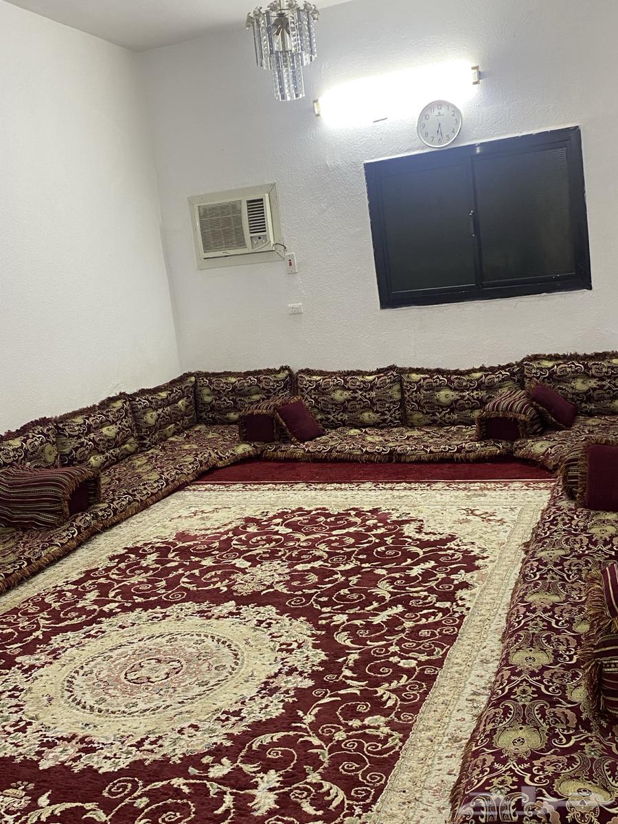 مجلس عربي مع الزولية64463613958146110