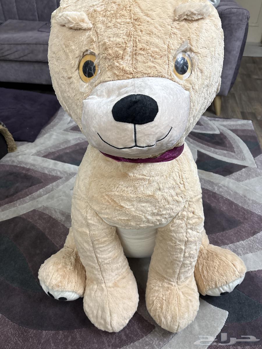 دبدبوب كبير للبيع64463944748803110