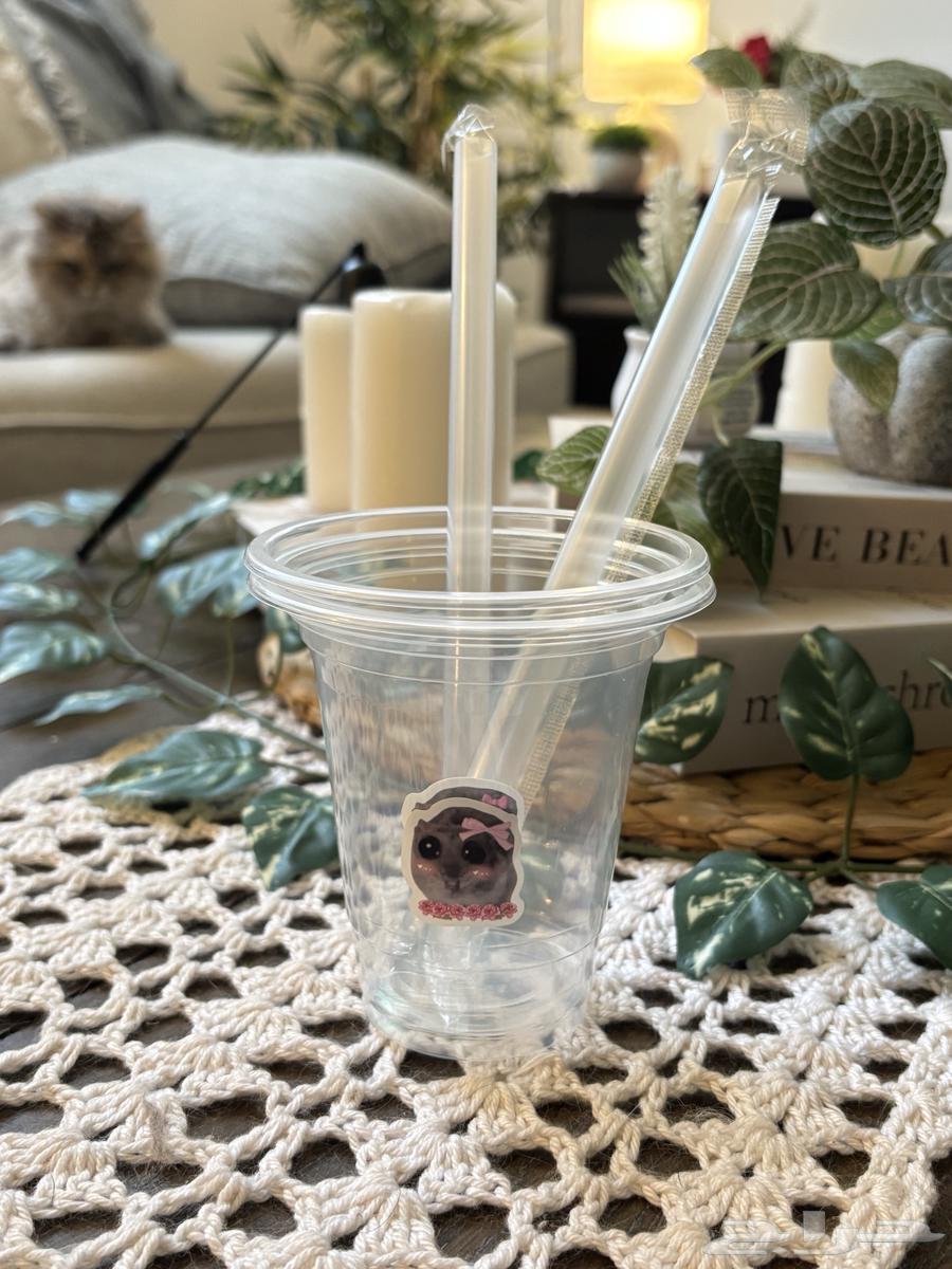 Matcha Box with Tools 13564462266963458113