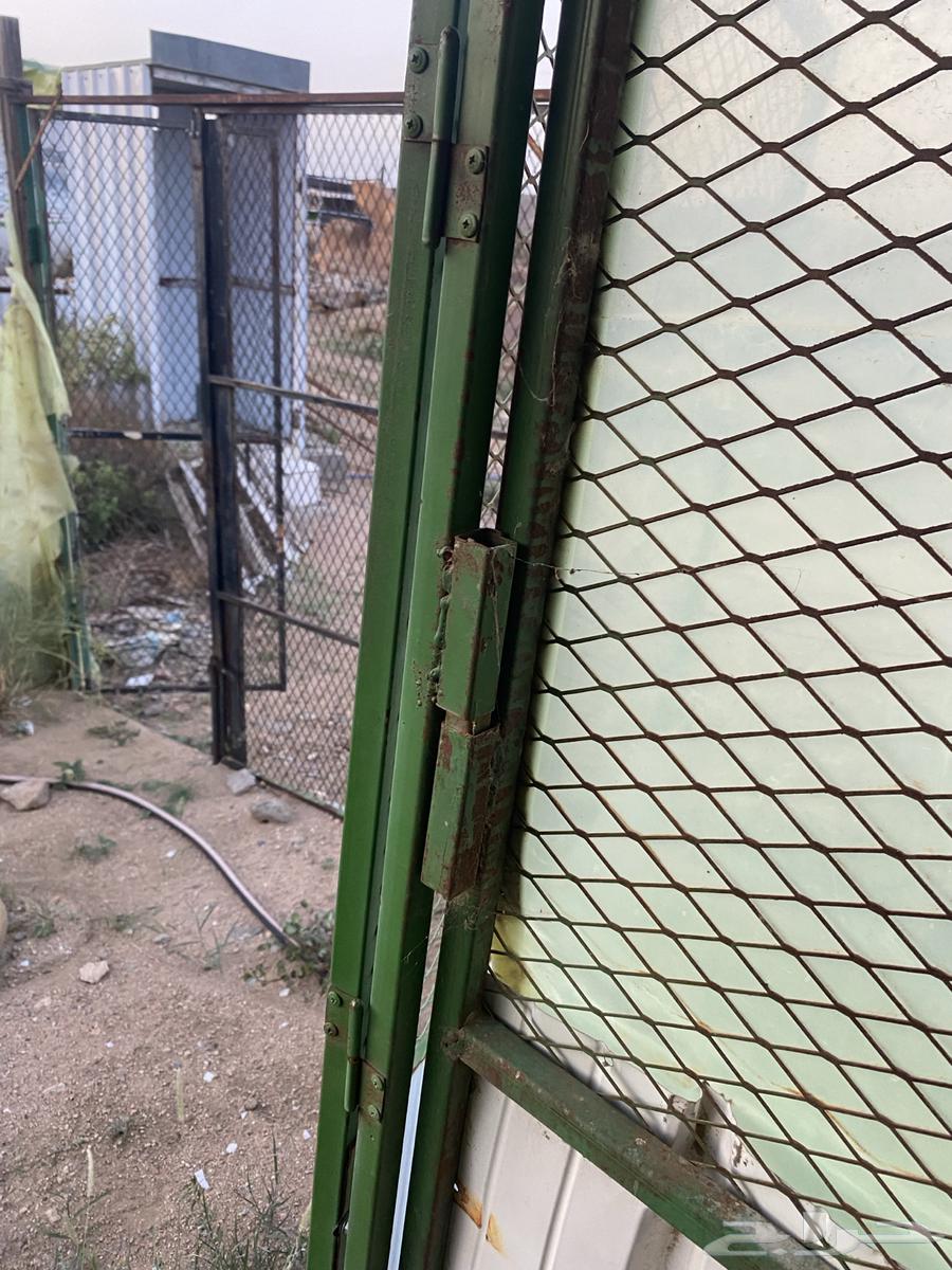 Container 10x464462212418817113