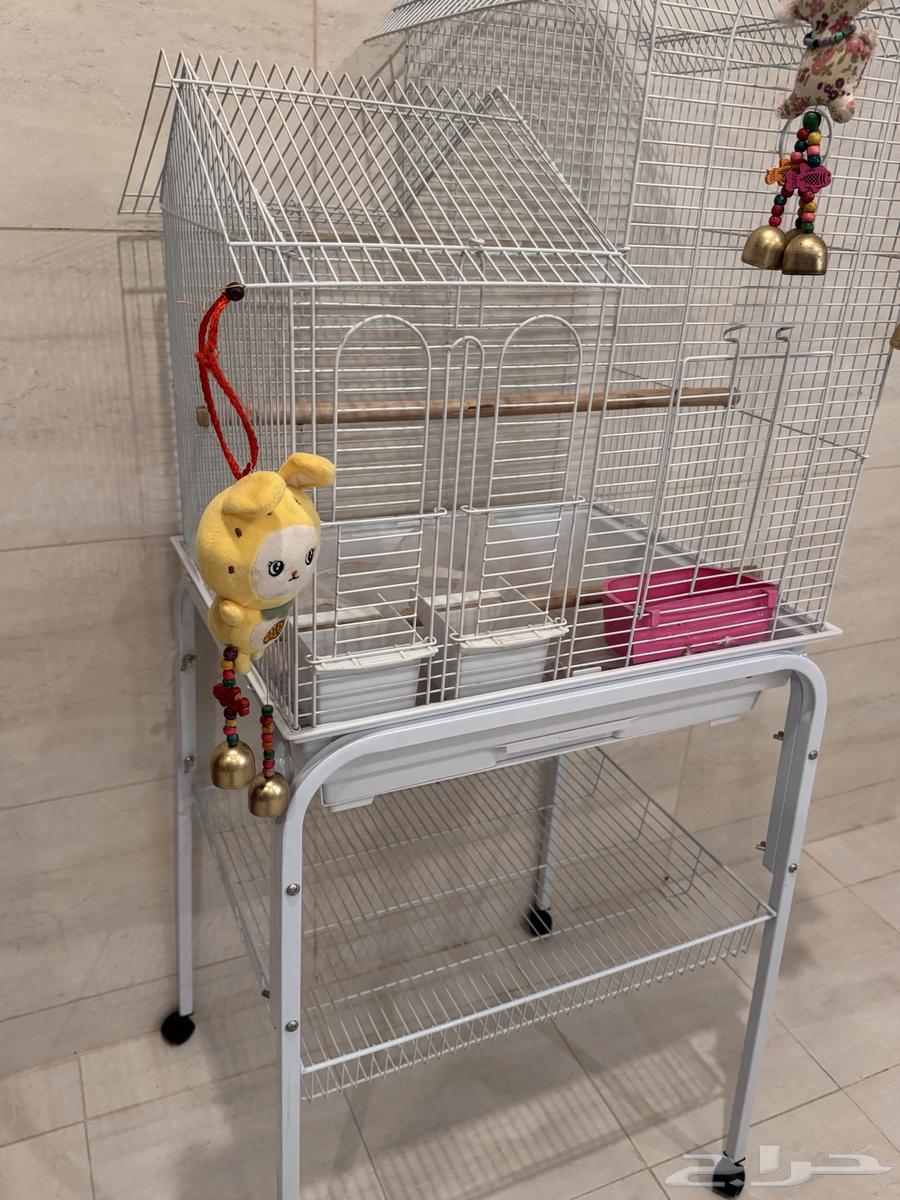 قفص طيور64461241395715111