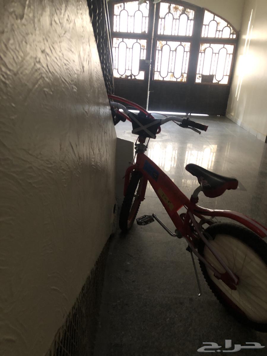 Cobra Cycle Bike64463033542275111