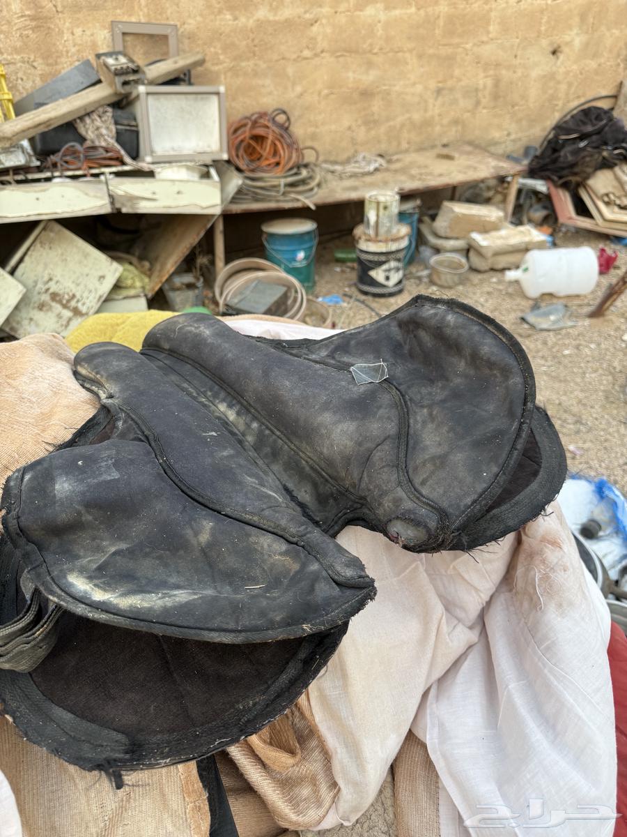 سرج جوكي للبيع64461843019009113