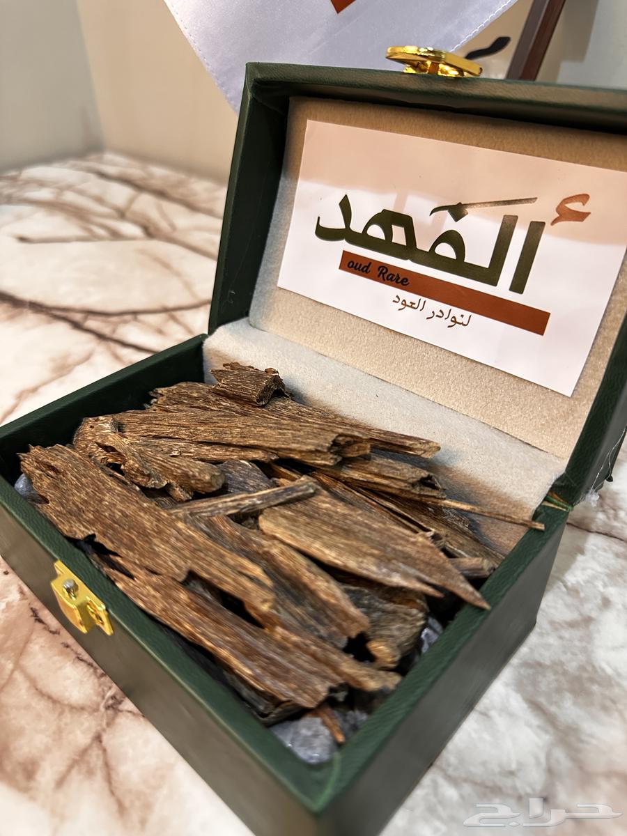 عود بنقالي دبل سوبر64458258853633112