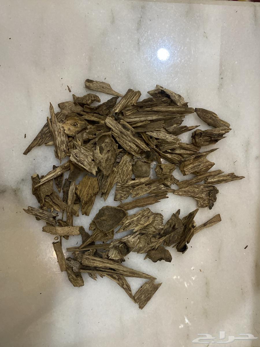 عود كلمنتان طبيعي سوبر مرتفع عرض اليوم الوطني64461431099265110