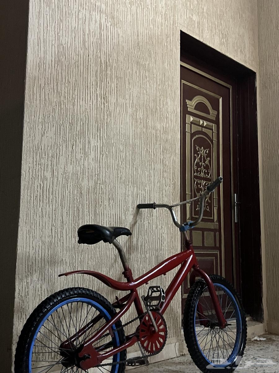 سيكل كوبرا مقاس2064462937911937111