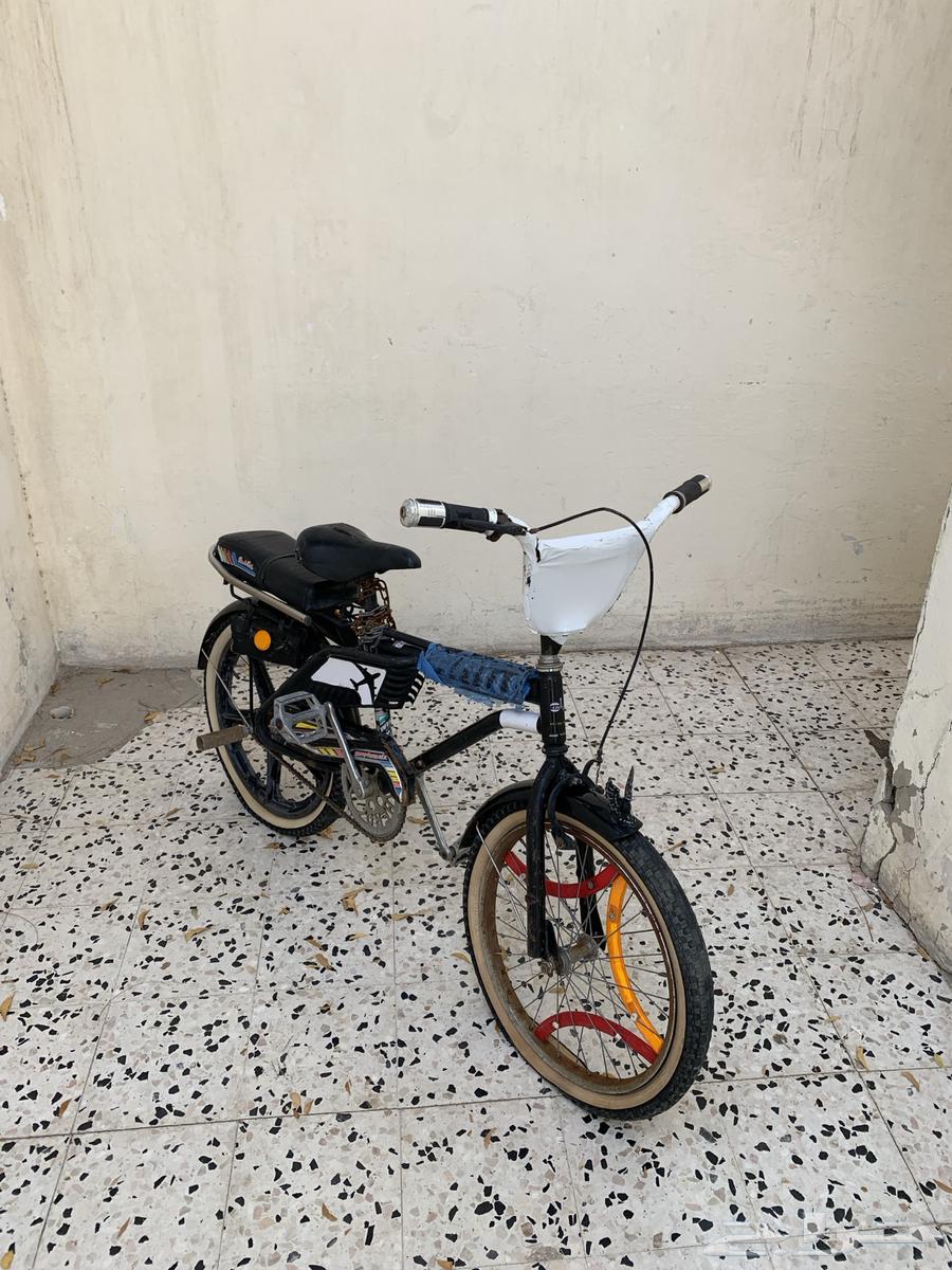 دراجة رامبو قطب مقاس 2064460638920961110