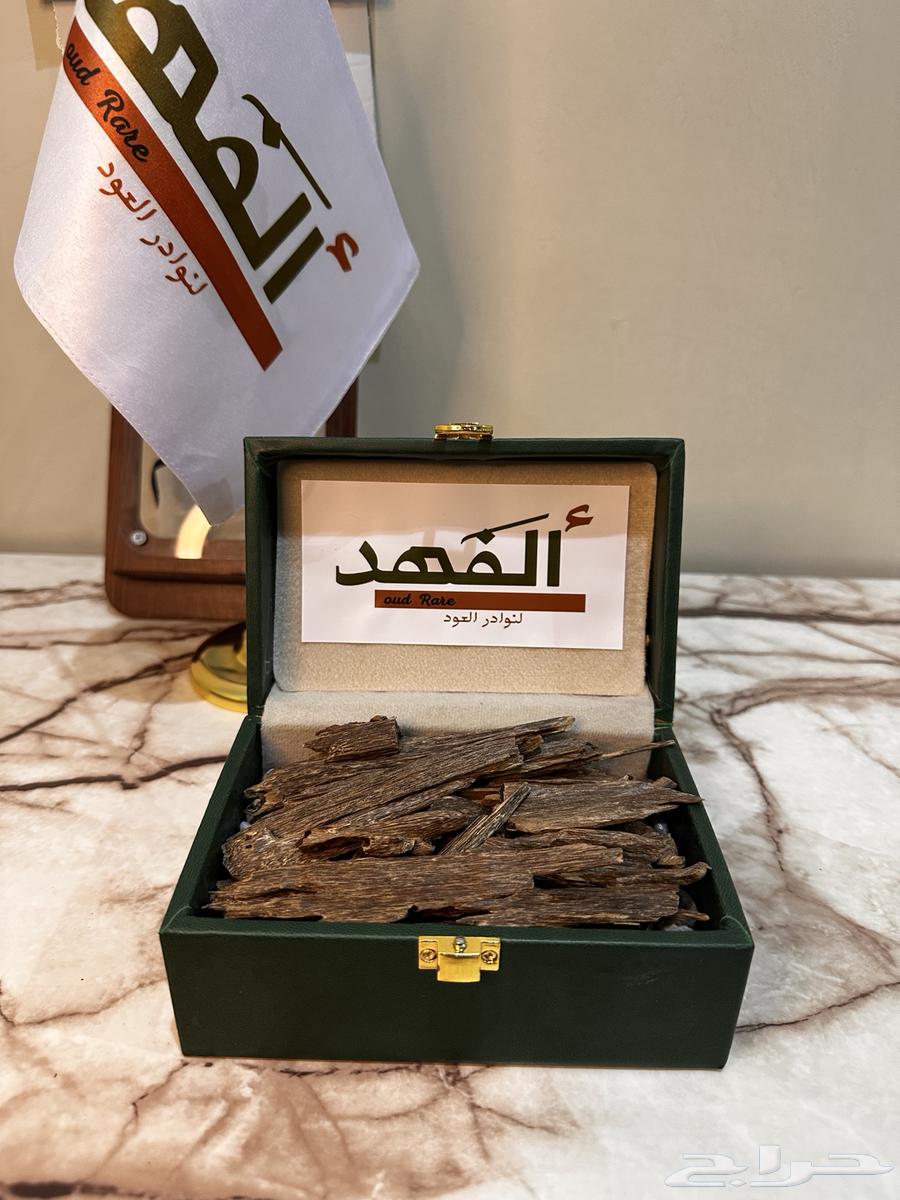 عود بنقالي دبل سوبر64458258853633110