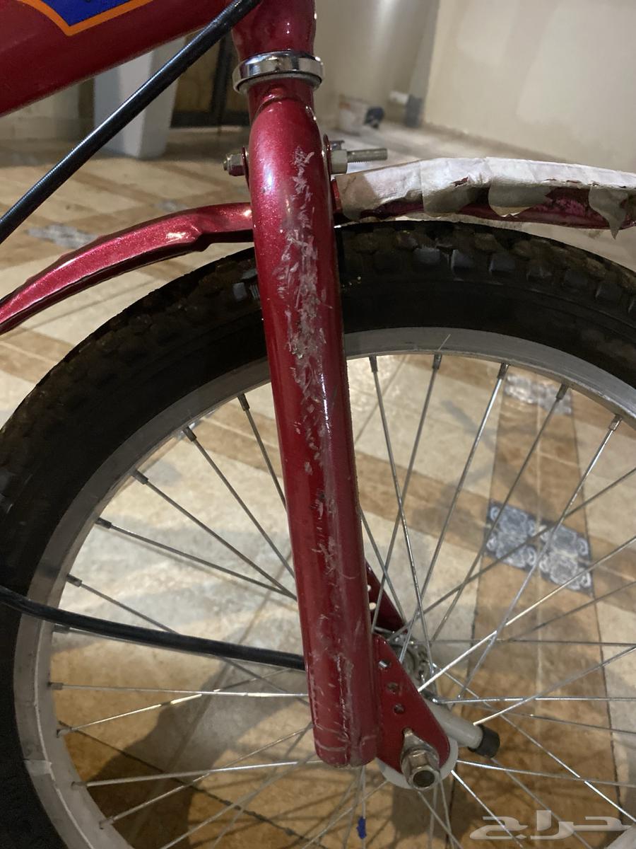 سيكل رامبو تجميع صيني64462541140609112