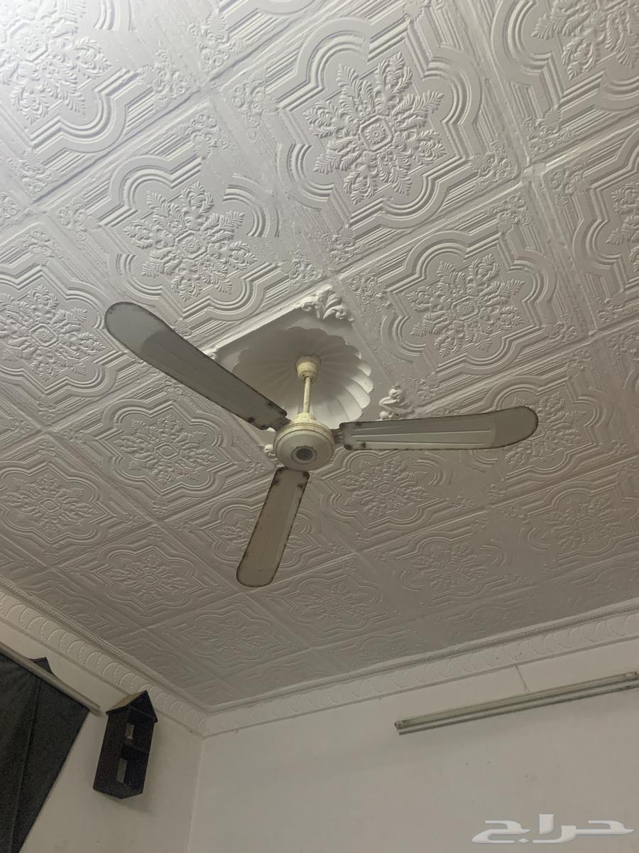 Fan for evil from the year 202564458886381442110