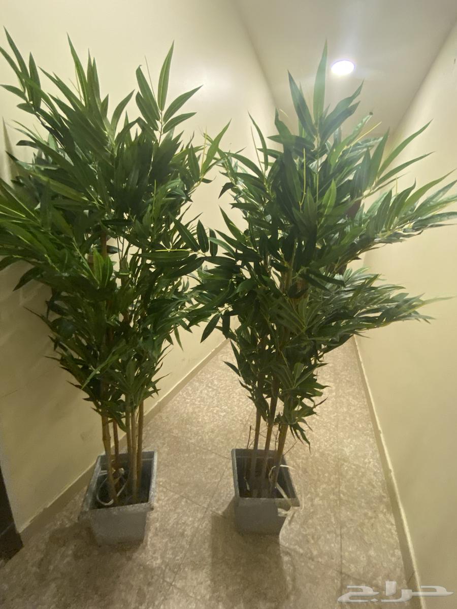 Artifacts and Waterfalls64461898021763114