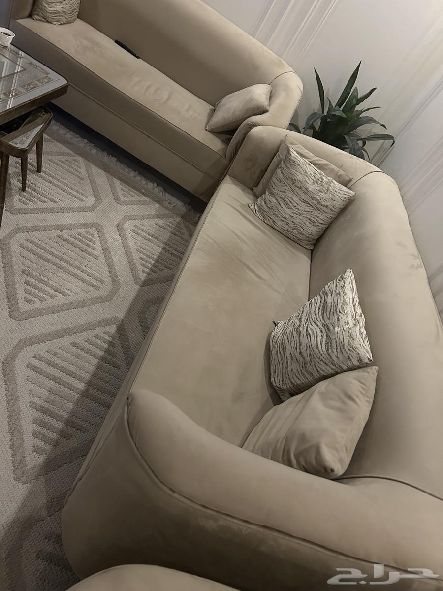 كنب تقريبا 11 شخص64463778544257110