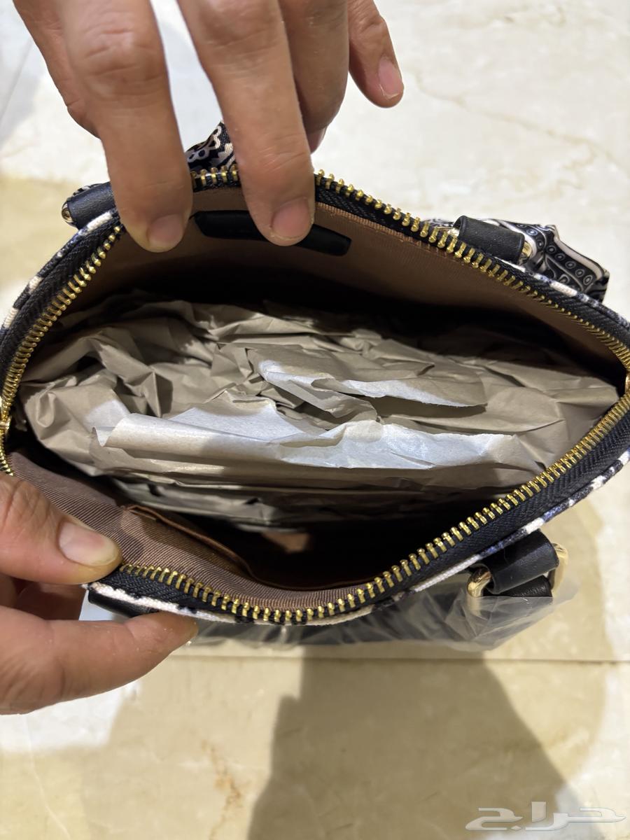 Bag64463972582786112