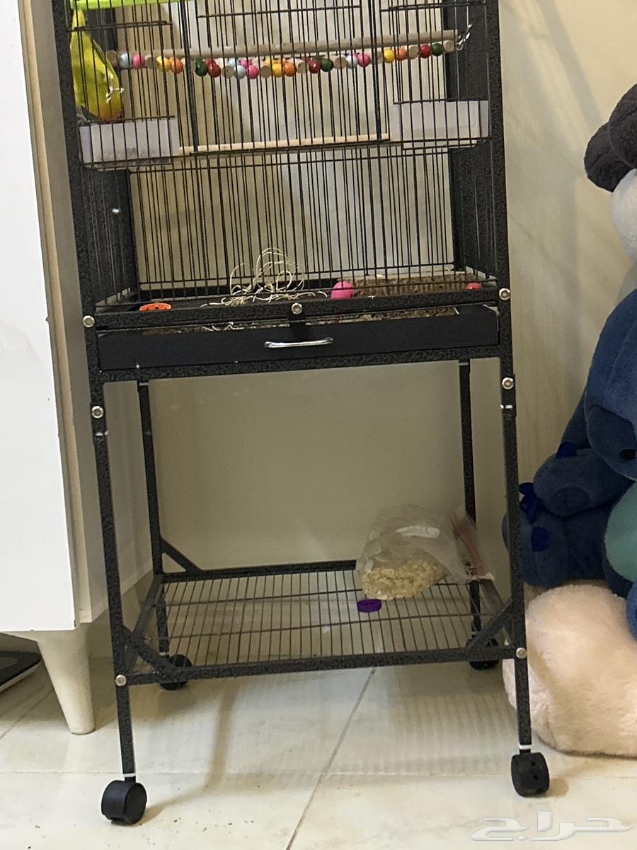 القفص فقط للبيع والله اشتريته بي 30064457673308290111