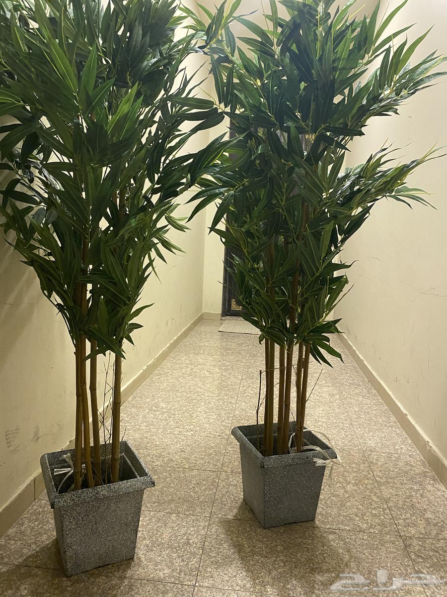 Artifacts and Waterfalls64461898021763112