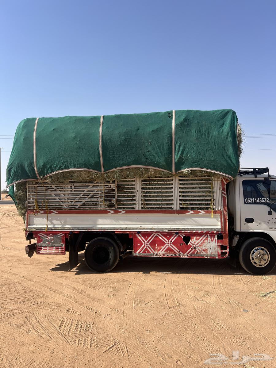 Rodes Safi Smooth64460843895683110