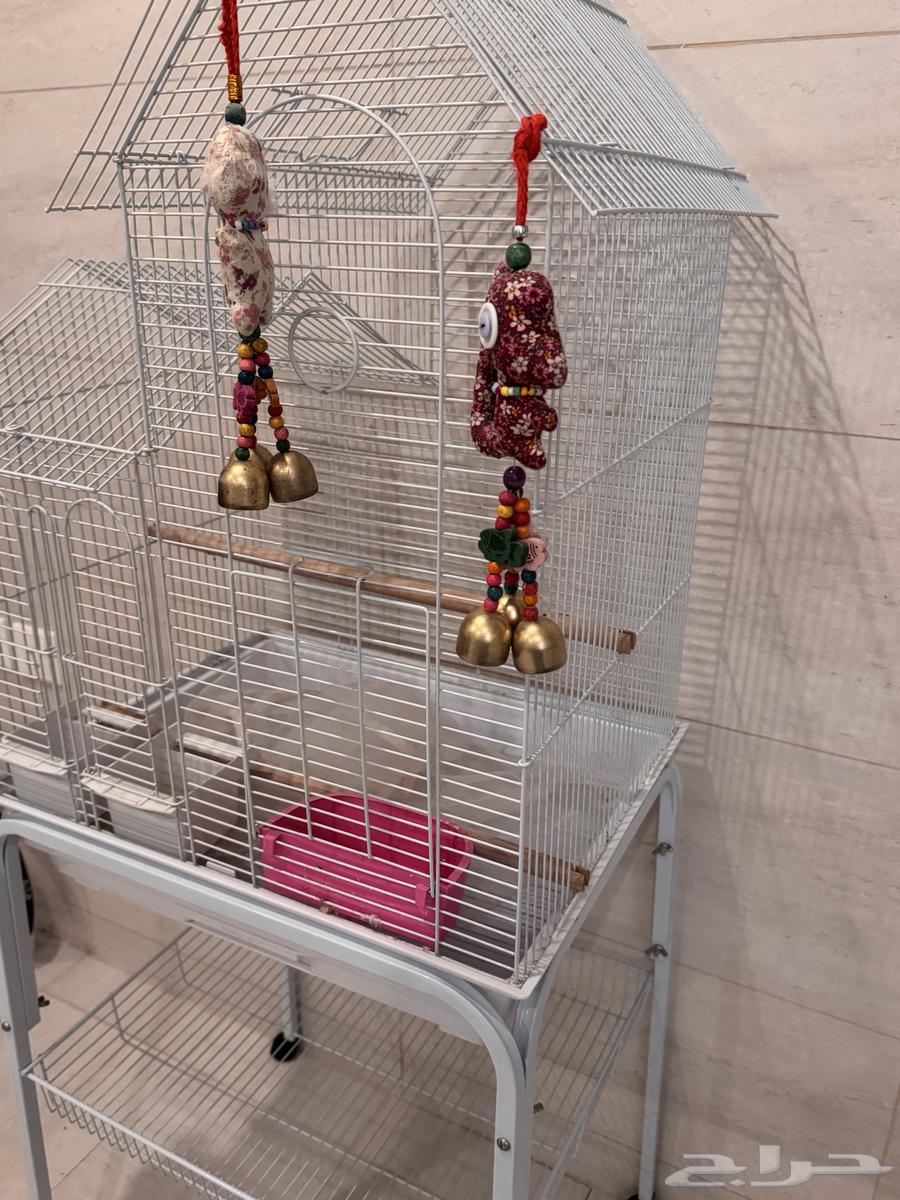 قفص طيور64461241395715112