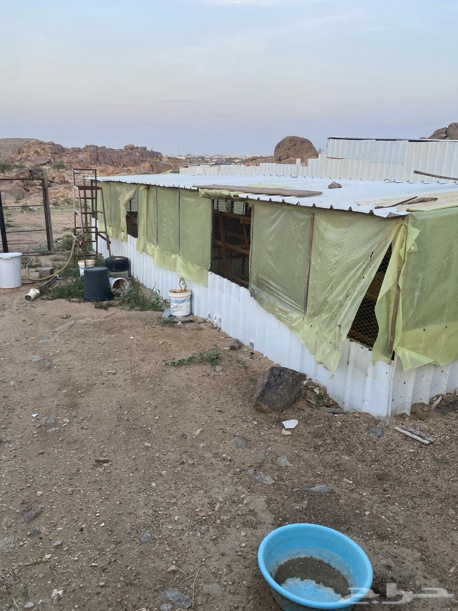 Container 10x464462212418817110