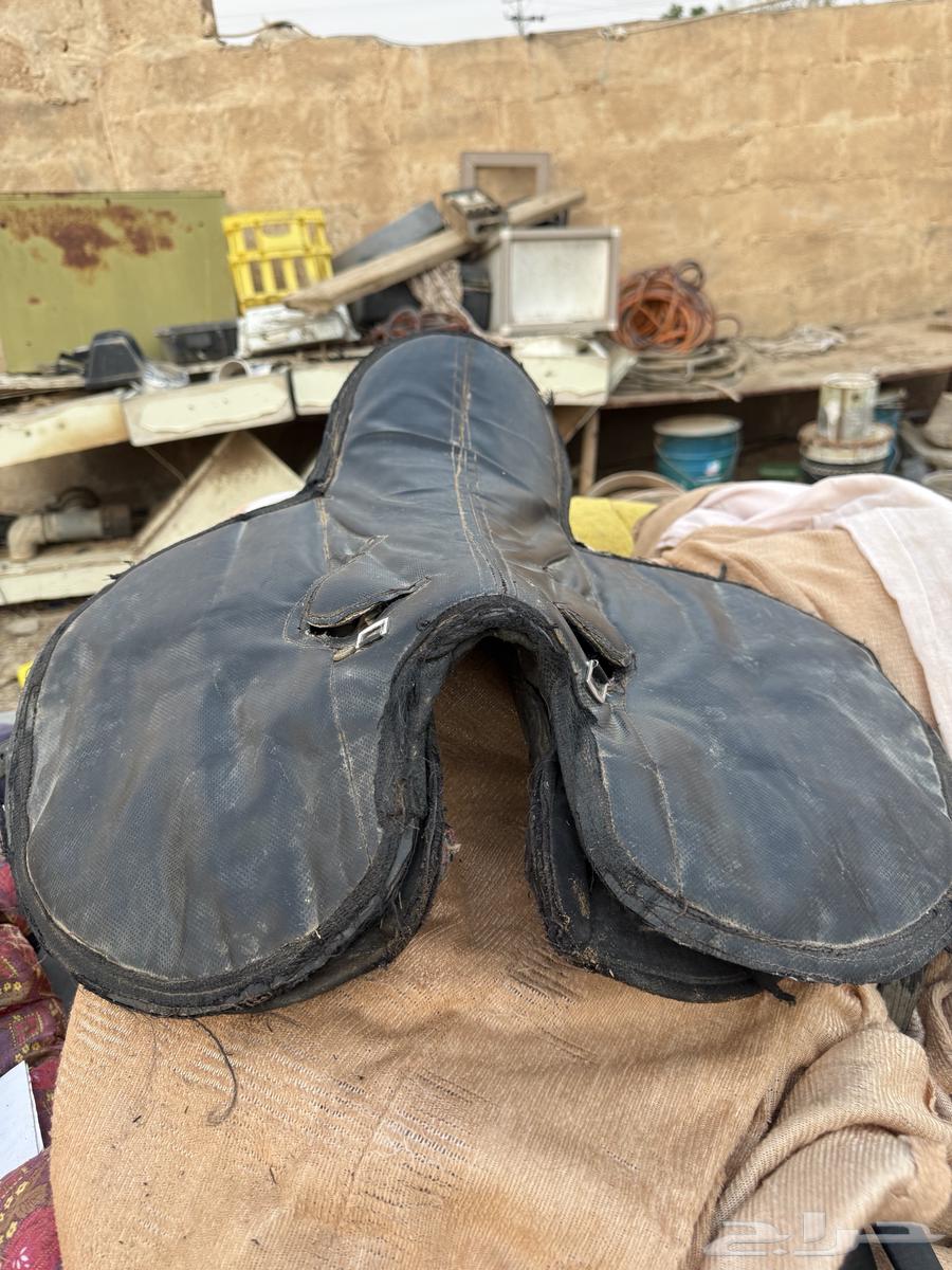 سرج جوكي للبيع64461843019009110