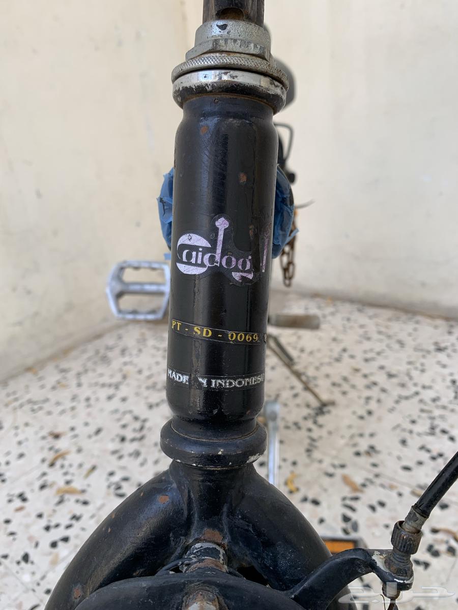 دراجة رامبو قطب مقاس 2064460638920961113