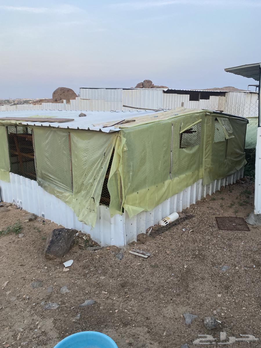 Container 10x464462212418817111