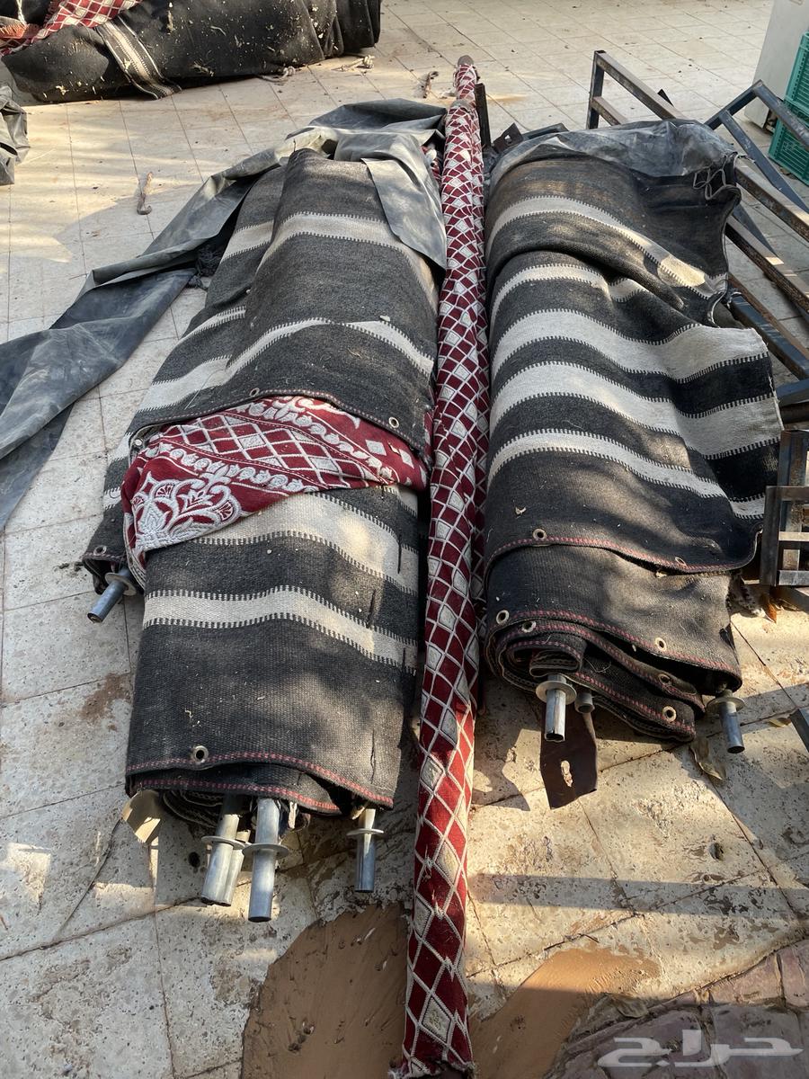 بيت شعر للبيع و مشب حديد64458525404546111